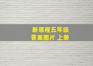 新领程五年级答案图片 上册